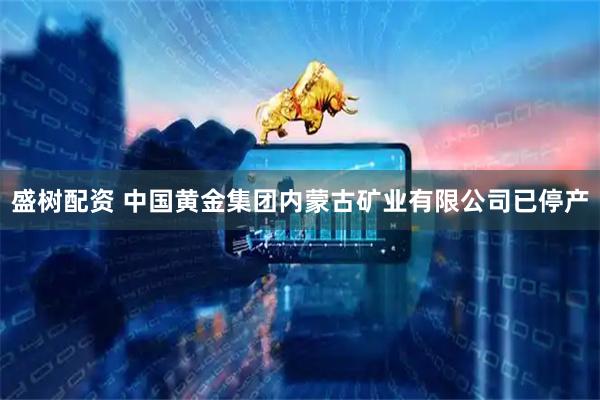 盛树配资 中国黄金集团内蒙古矿业有限公司已停产
