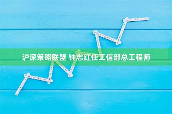 沪深策略联盟 钟志红任工信部总工程师