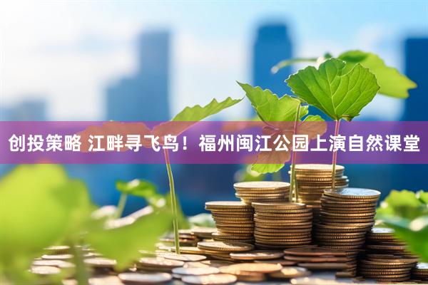 创投策略 江畔寻飞鸟！福州闽江公园上演自然课堂