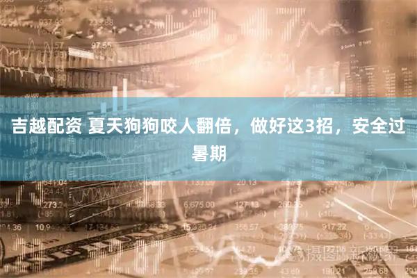 吉越配资 夏天狗狗咬人翻倍，做好这3招，安全过暑期