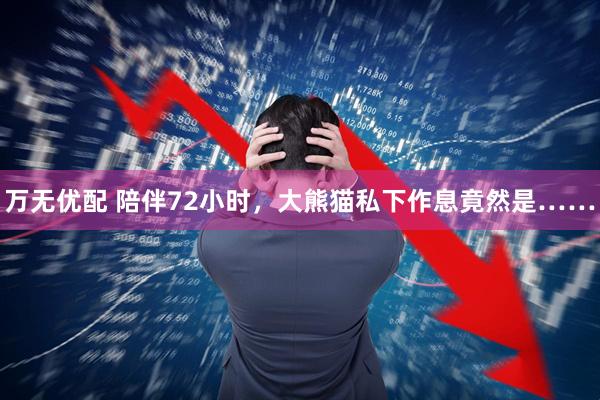万无优配 陪伴72小时，大熊猫私下作息竟然是……