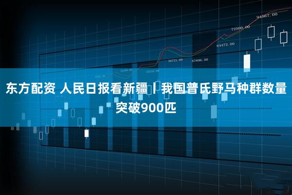 东方配资 人民日报看新疆丨我国普氏野马种群数量突破900匹
