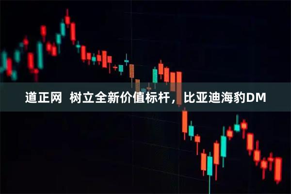 道正网  树立全新价值标杆，比亚迪海豹DM
