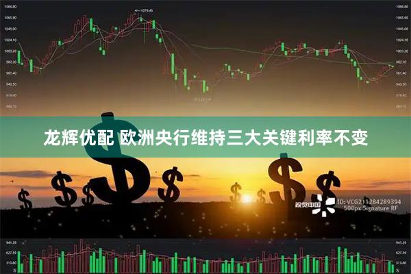 龙辉优配 欧洲央行维持三大关键利率不变